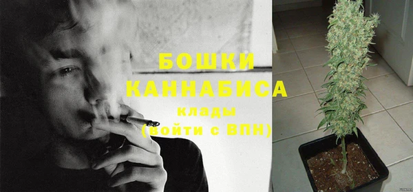 бошки Абаза