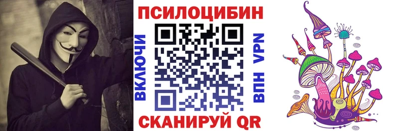 Галлюциногенные грибы Cubensis  как найти закладки  Шимановск 